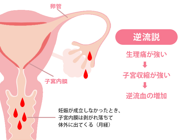 関西ウーマン